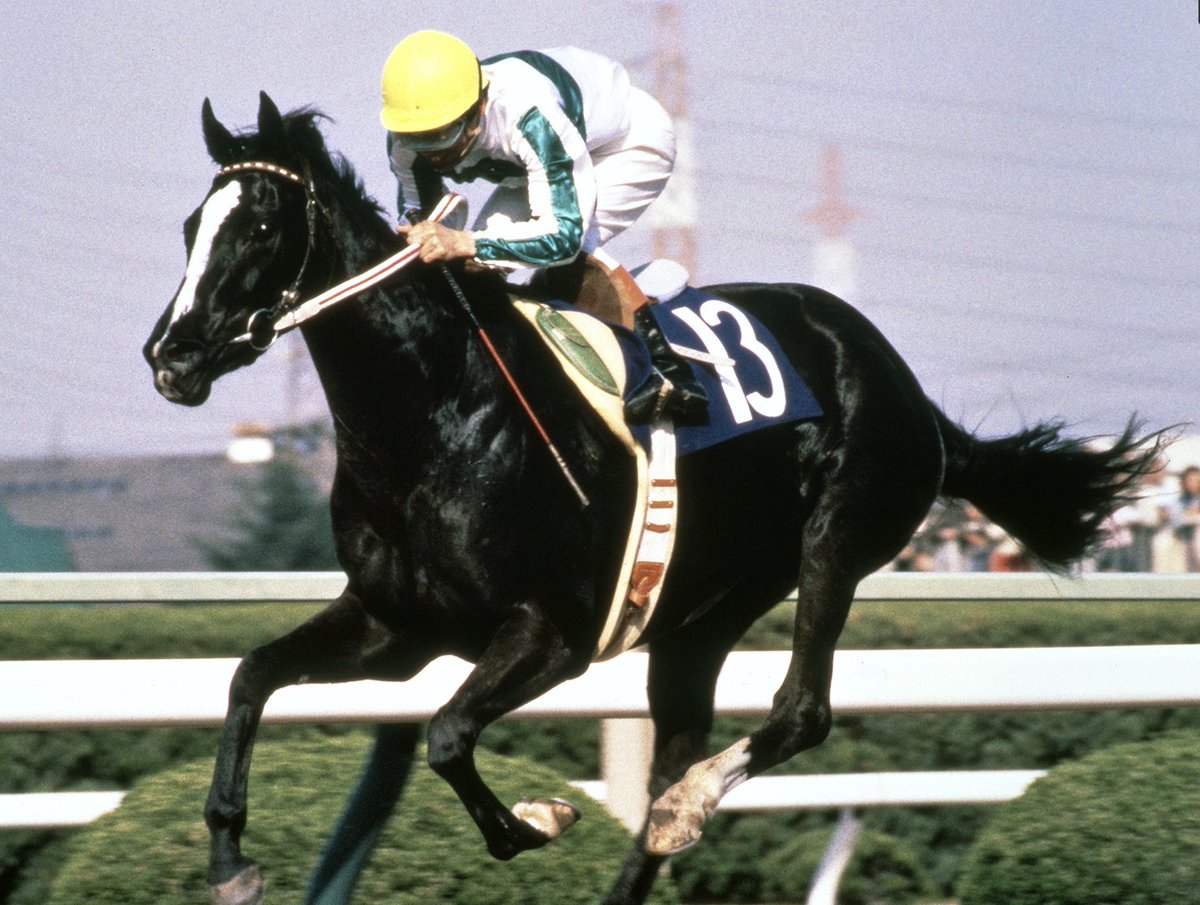 世界名馬紹介】 〝メジロラモーヌ〟🇯🇵 ＼ 生年：1983年 性別：牝馬