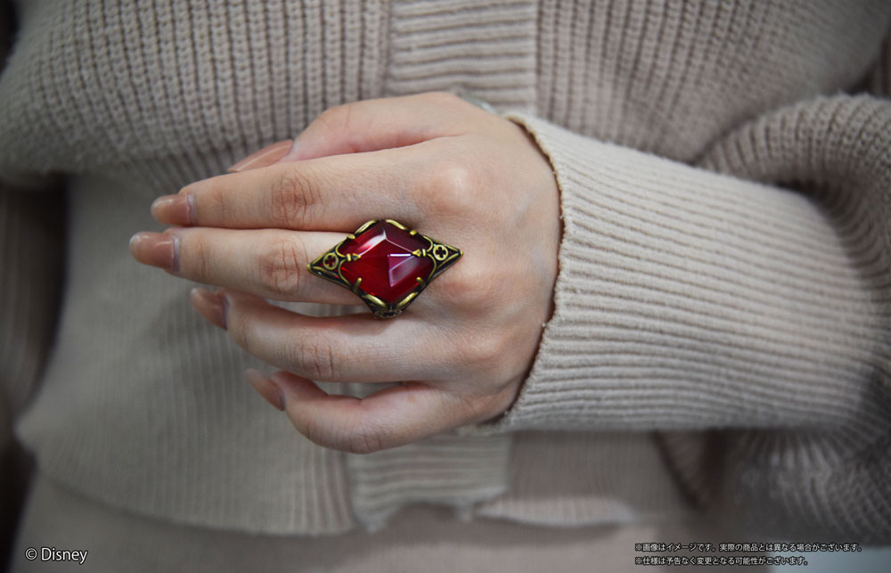 ⋱🔔商品紹介🔔⋰ ￣￣￣￣￣￣￣ 『ディズニー ツイステッド