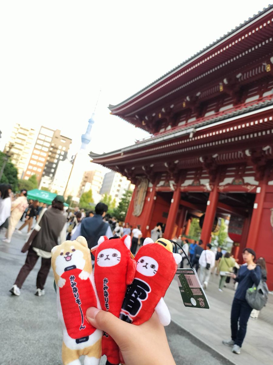 のびねこ旅 浅草に行ってきました！ 福光屋というところに 雷門のび