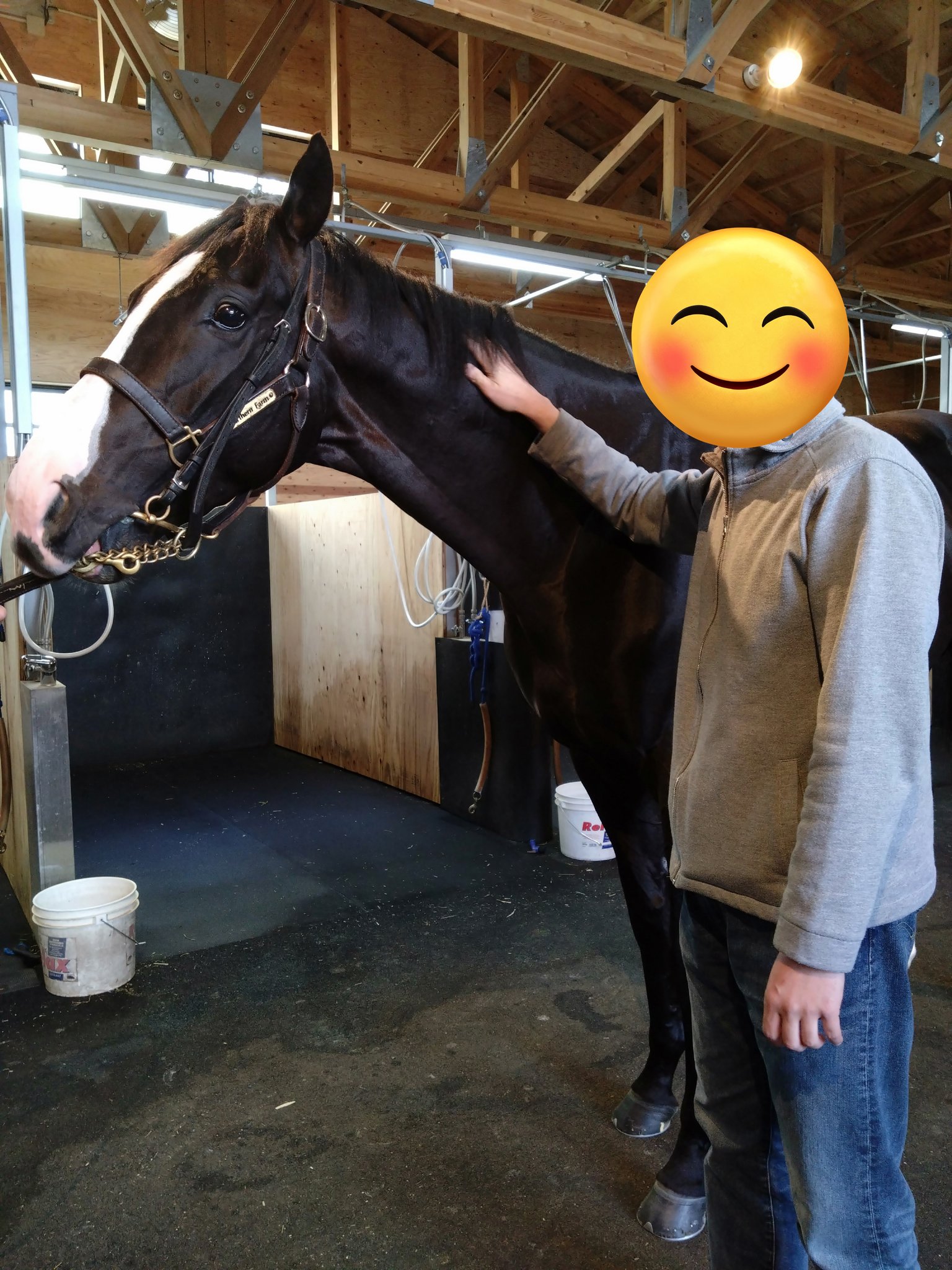 イクイノックス実使用調教蹄鉄鬣一本付き②