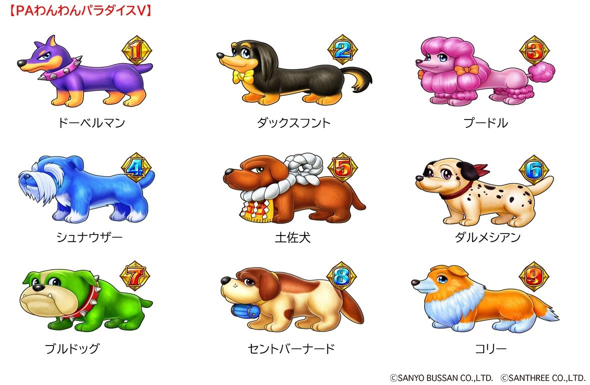 実は犬図柄のデザインも前作から変わっているんです❗️どこが変わって