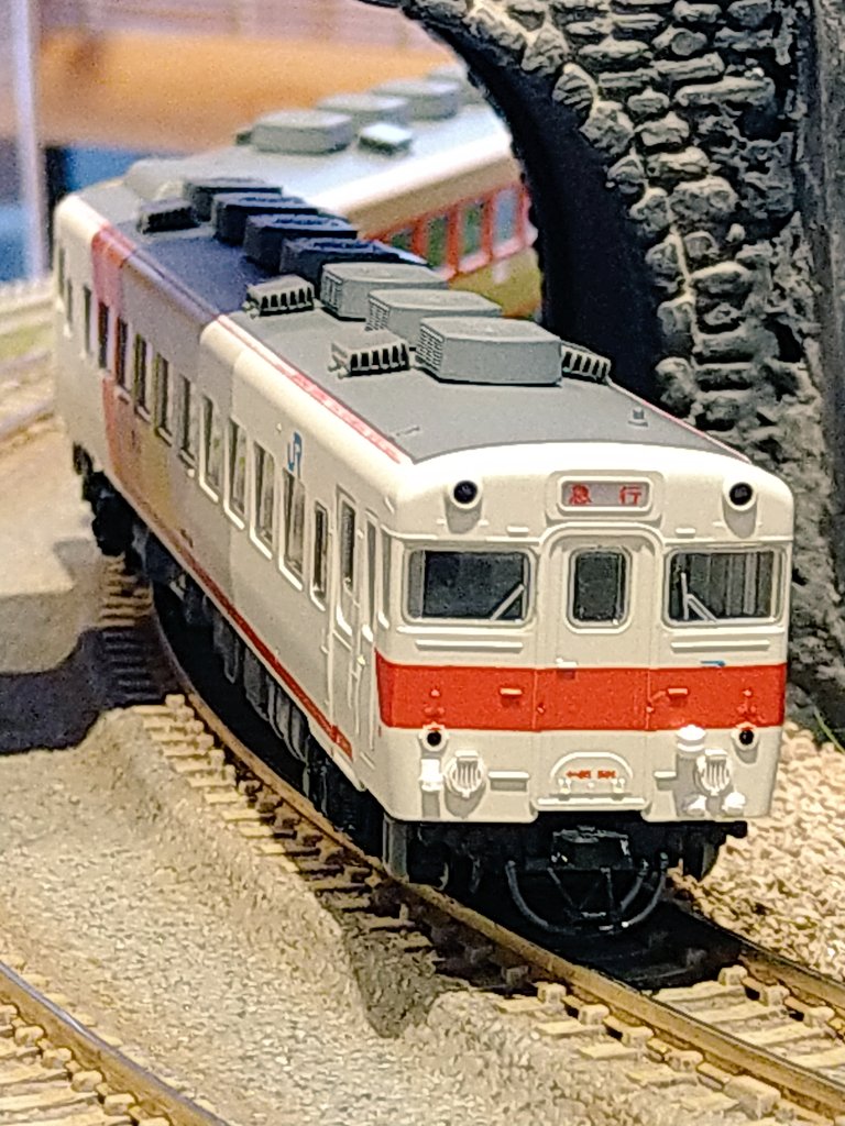 わかとりライナー】 わかとりライナーの塗色変更車2両を4両ブック