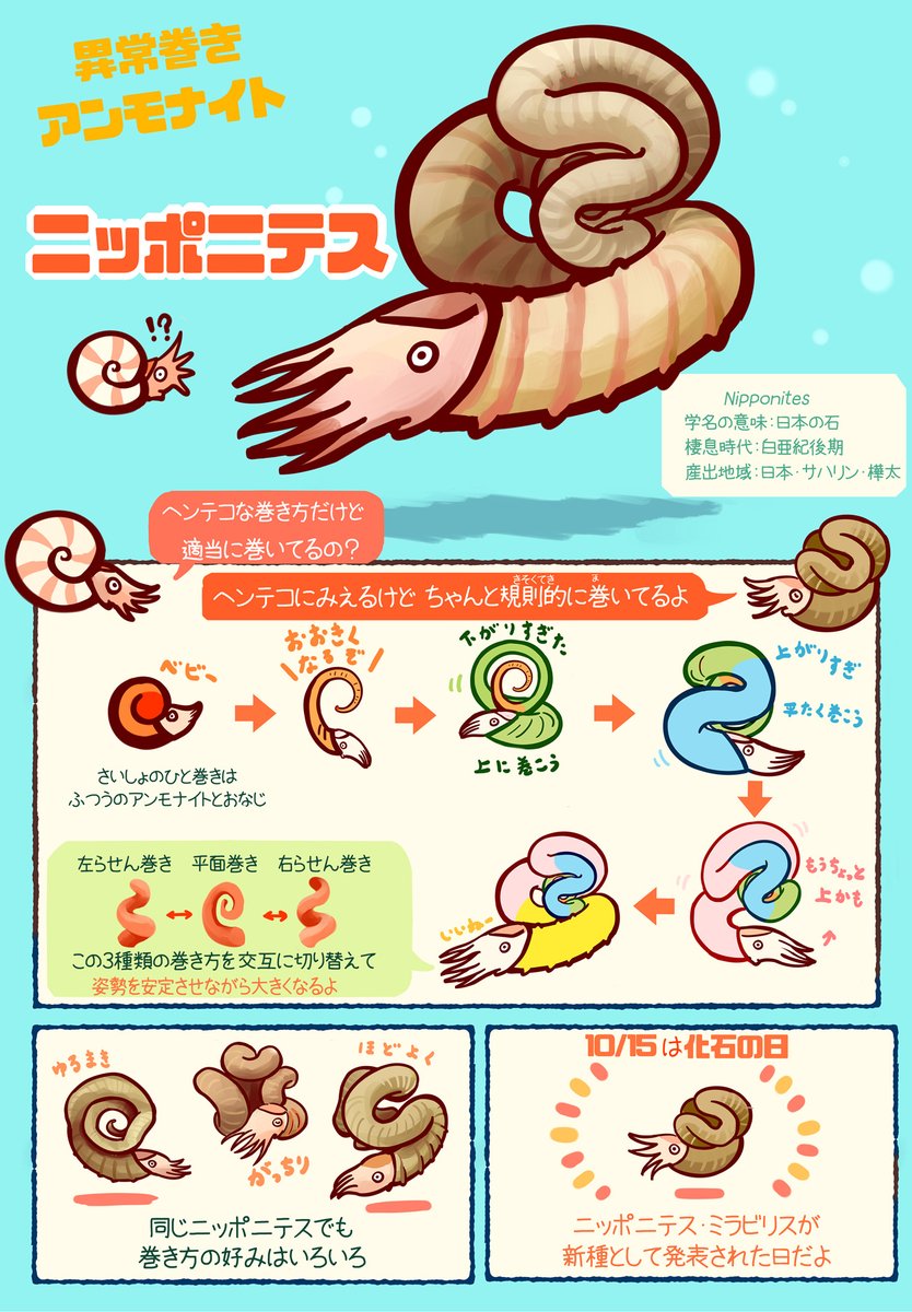化石の日 を10月15日と制定した理由は，日本を代表する異常巻き