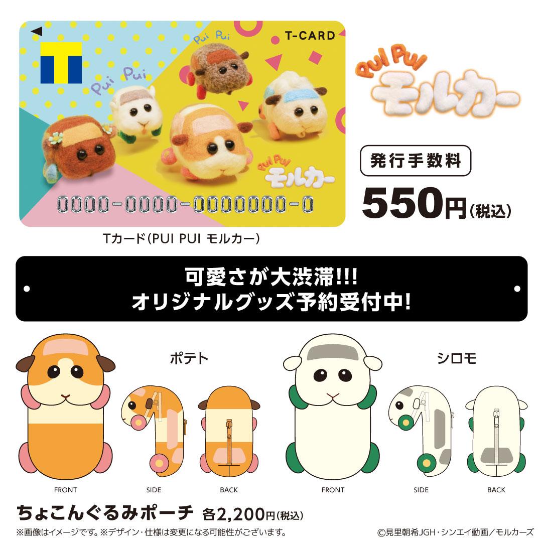 PUI PUI モルカー×Tカード／ Tカード（PUI PUI モルカー） WEB予約受付