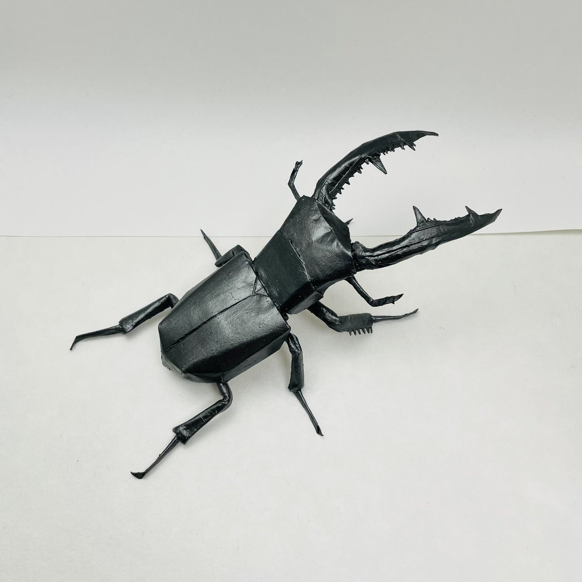 634さんのマンディブラリスフタマタクワガタ。 