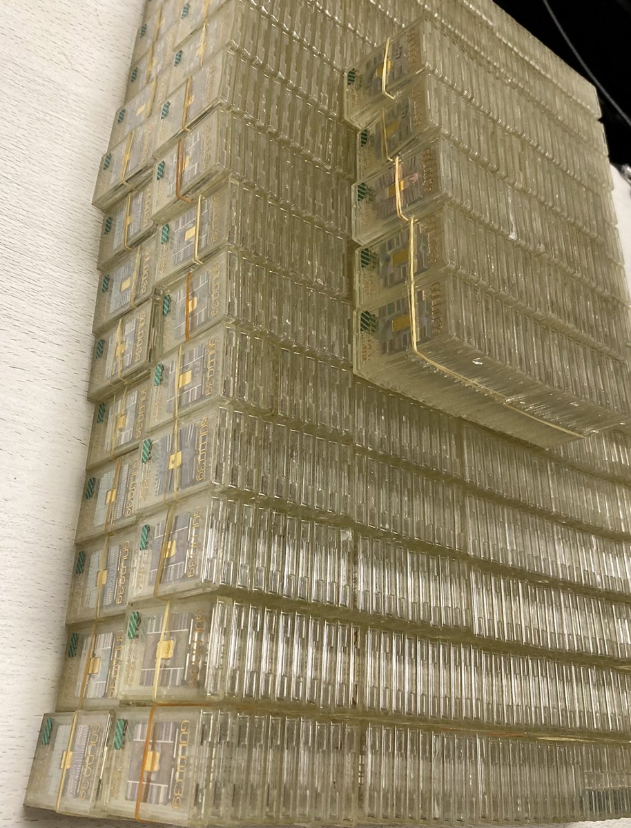 kapibara422 (@kapibara42211) / Posts / X