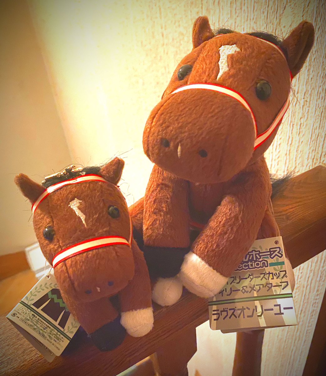 アイドルホースのラヴズオンリーユーちゃん届いたわよ