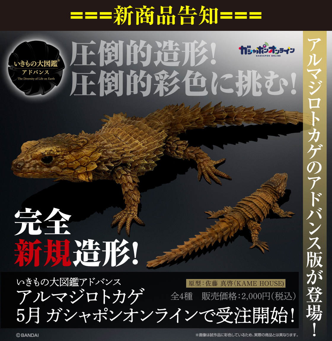 新商品告知＝＝＝＝ ／ いきもの大図鑑アドバンス アルマジロトカゲ 5