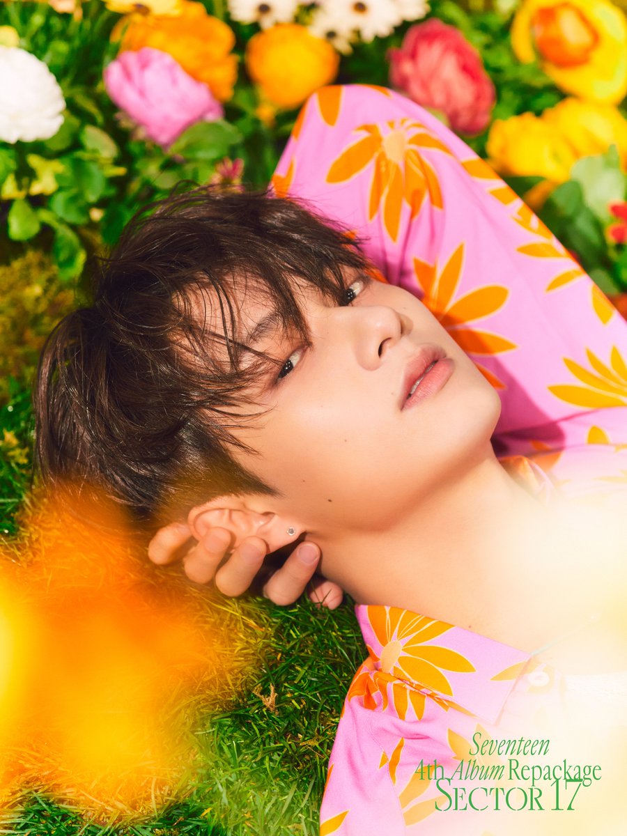 SEVENTEEN (세븐틴) 4th Album Repackage 'SECTOR 17' Official Photo