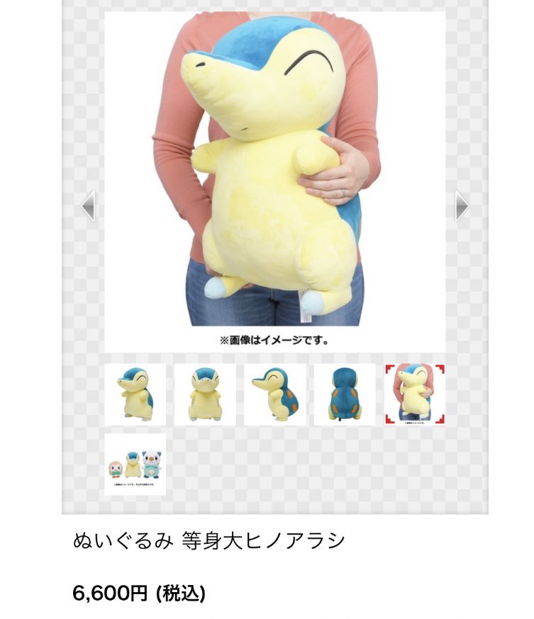 心臓バクバクバクフーン！！！！！！！！ 等身大…50cmひのちゃんが遂に