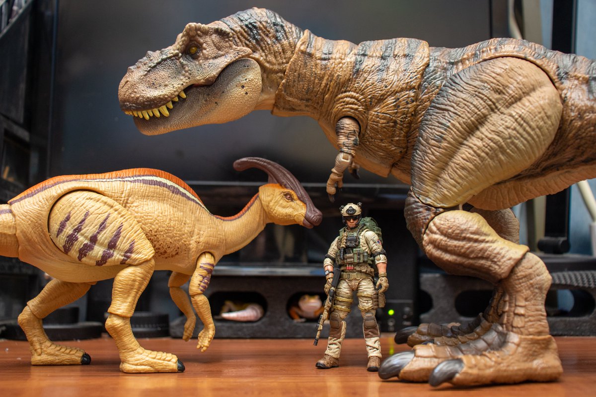 ﾏﾃﾙ ﾊﾓﾝﾄﾞｺﾚｸｼｮﾝ ﾃｨﾗﾉｻｳﾙｽのレビューです。33年生きてきて、今までで一