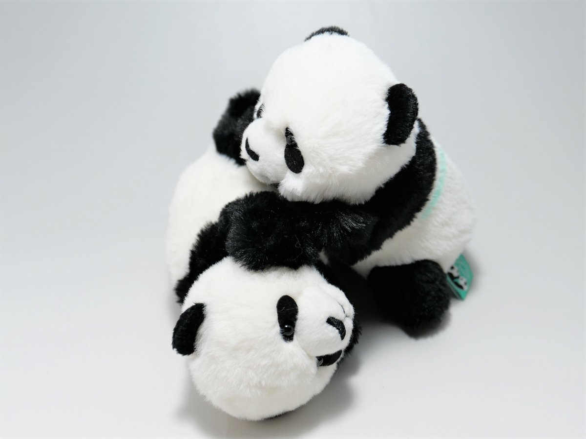 ギフトショップからのお知らせ🎁】 🐼双子パンダ1歳記念商品🐼をご紹介