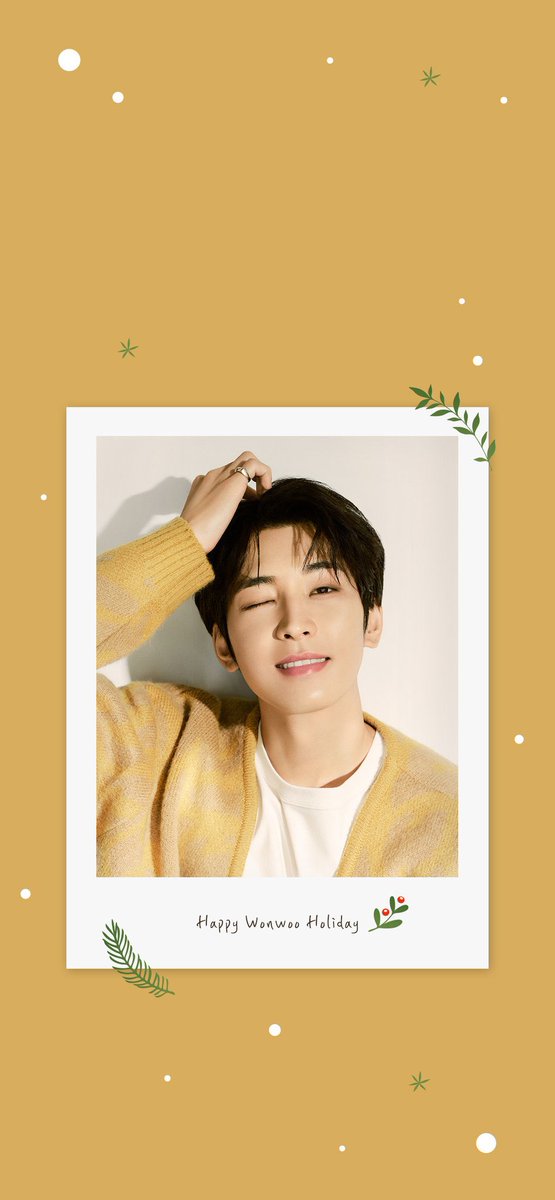 🎄HAPPY WONWOO HOLIDAY🎄 ハクスリーからの小さな贈り物🎁 ウォヌの