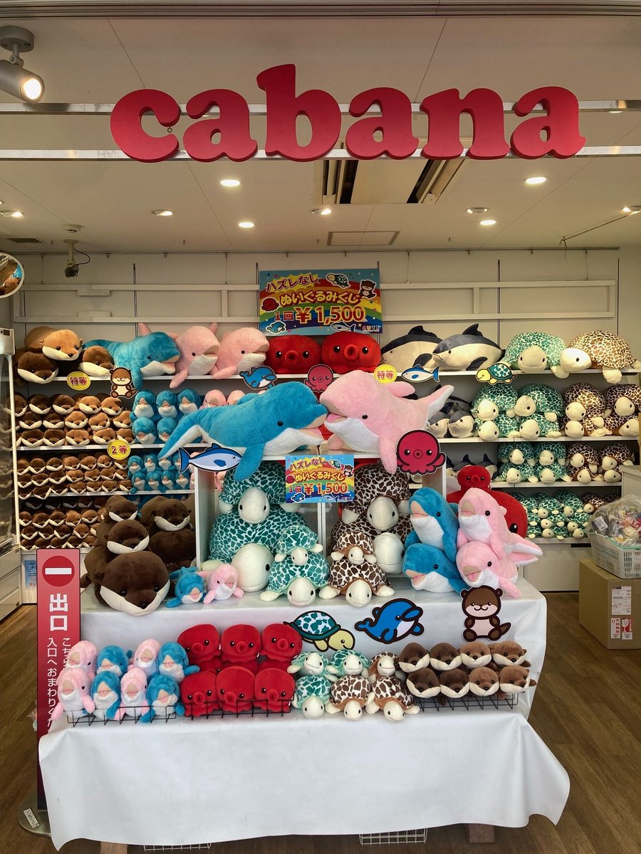 仙台うみの杜水族館】 本日から2階のCabanaが変身！ はずれなし 必ず