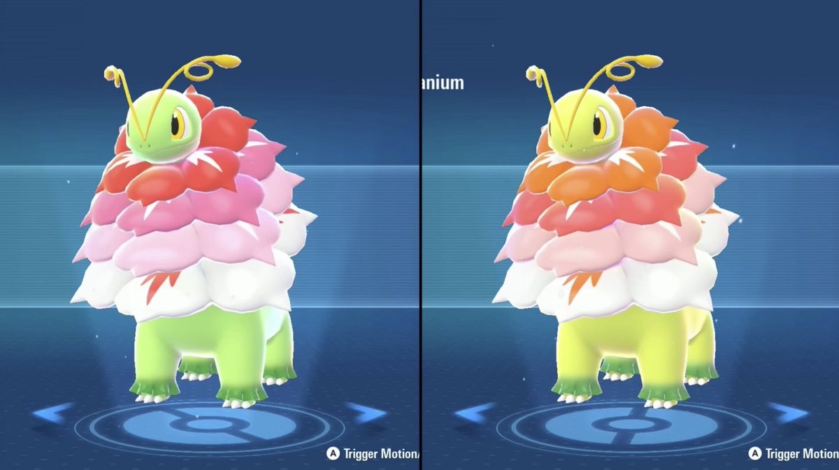 ⚡#PokemonLegendsZA📷 最新情報📷 🔽色違い御三家×#メガシンカ 特集