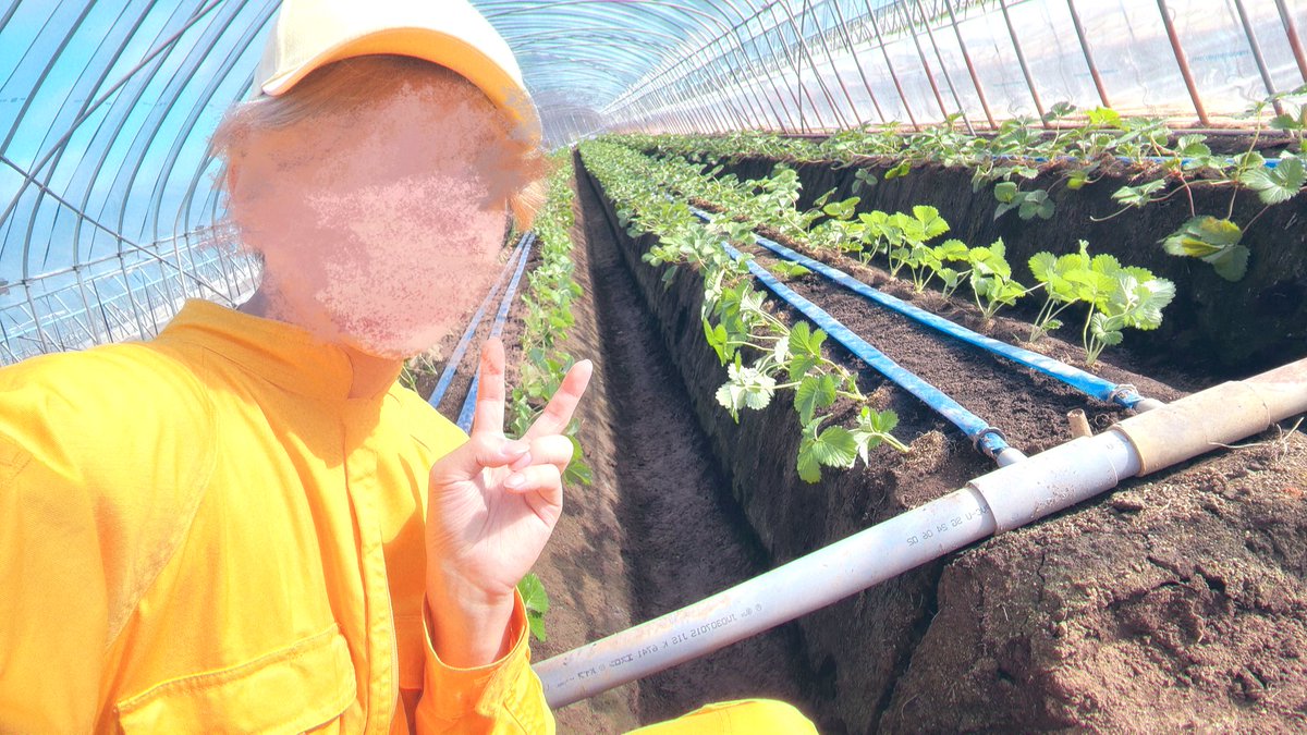 こ…れ…は…？💭🍓 るぅとくん今日は外でがんばってます( ˶'ᵕ'˶) ̖́-💛