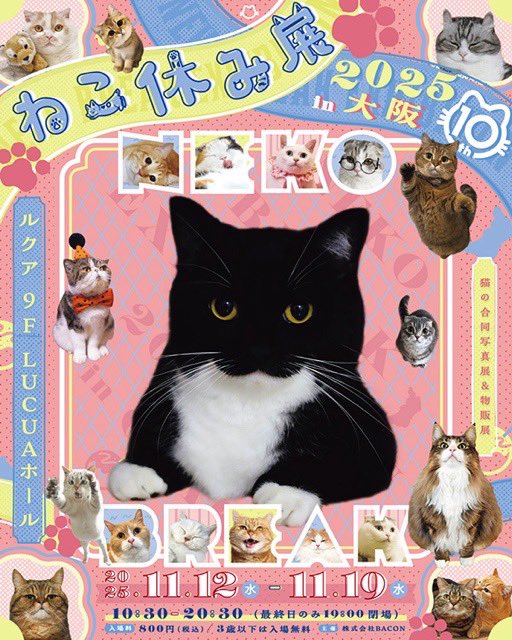 ねこ休み展 2025 in 大阪 】 大阪ルクア 9階 LUCUAホールにて開催中