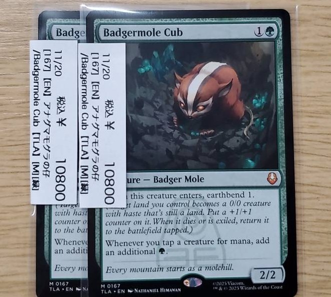 MTG】 アナグマモグラの仔（EN）2枚入荷いたしました！ お値段10800円