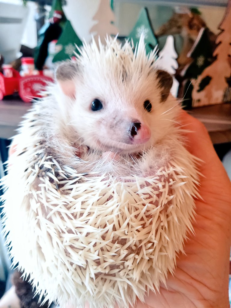 こんばんは♪ ブラックフライデー初日ご来店頂きありがとうご