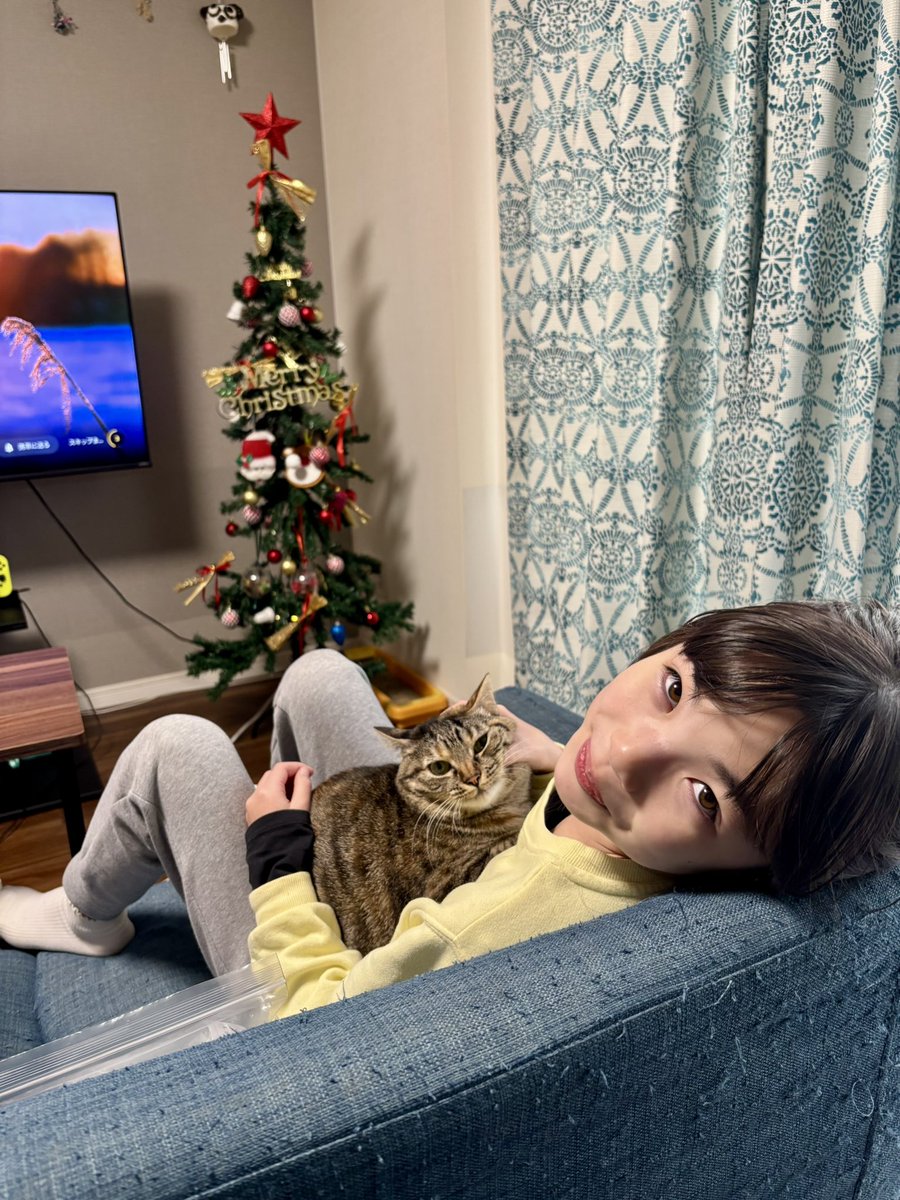 みつばち🐝チャンネル (@mitsubachi_ch) / Posts / X