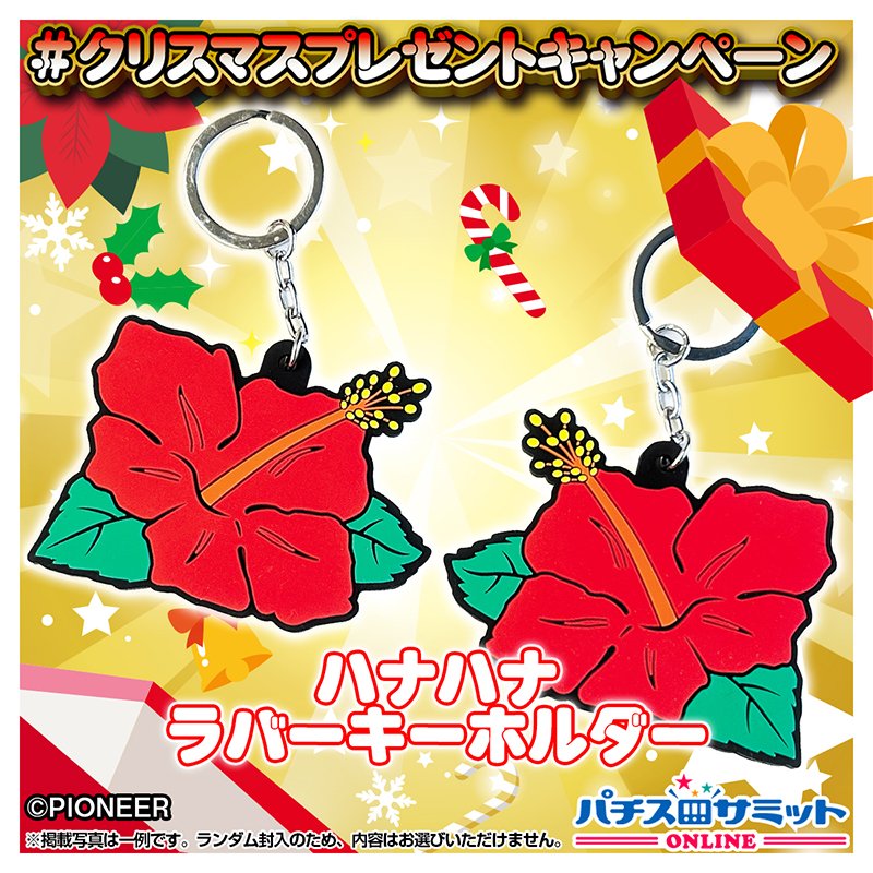クリスマスプレゼント キャンペーン🎁 ＼ パイオニアからのプレゼント