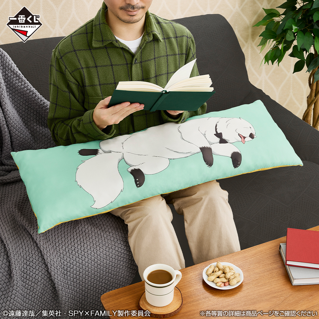 ⊹‧┈┈┈┈┈‧ ⊹˚. TVアニメ『SPY×FAMILY』より #一番くじ SPY