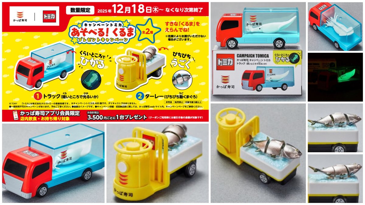 🍣かっぱ寿司×トミカ🚗／ 12月18日(木)いよいよスタート🎉 光るいかが
