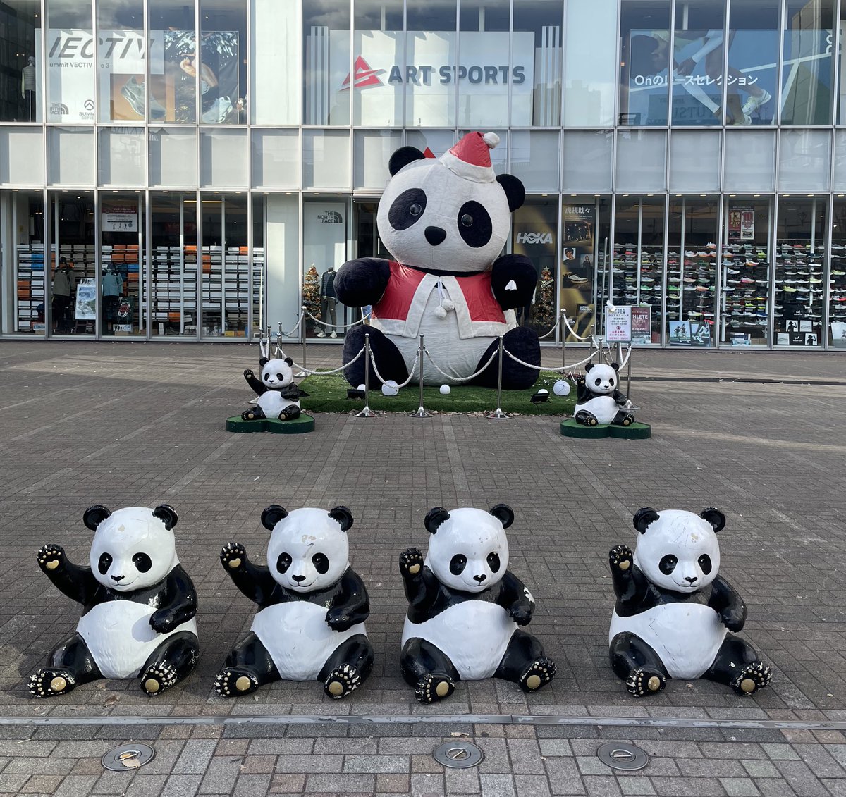 撮影終わって巨大サンタパンダ復活🤩