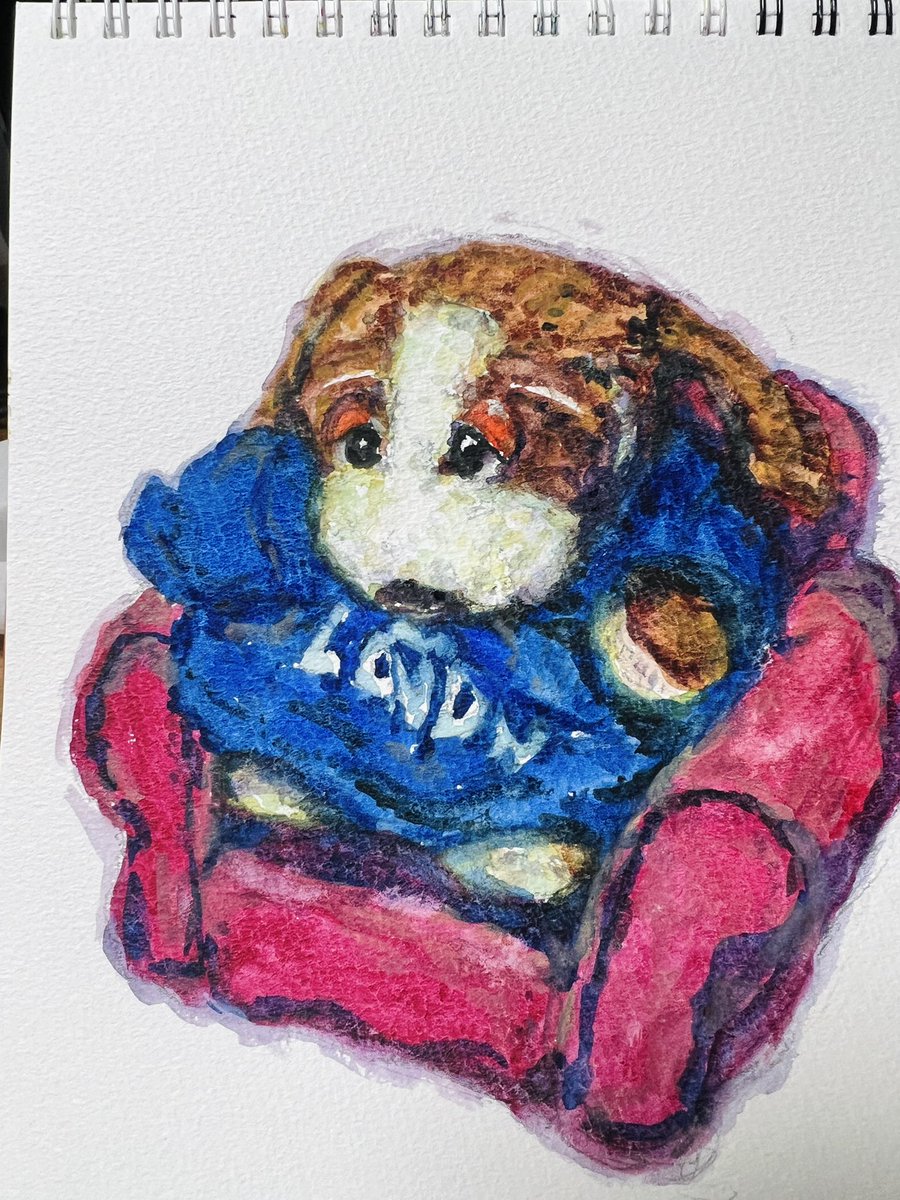 いぬわんたん (@inuwantan) / Posts / X