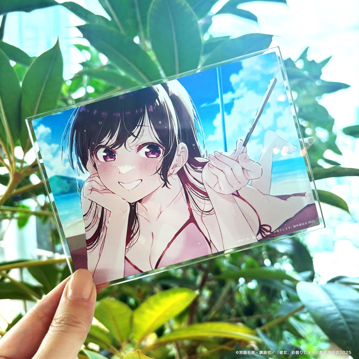 第4期Blu-ray 下巻 予約受付中❣ ＼ 今月1/28発売📀 #彼女お借りします