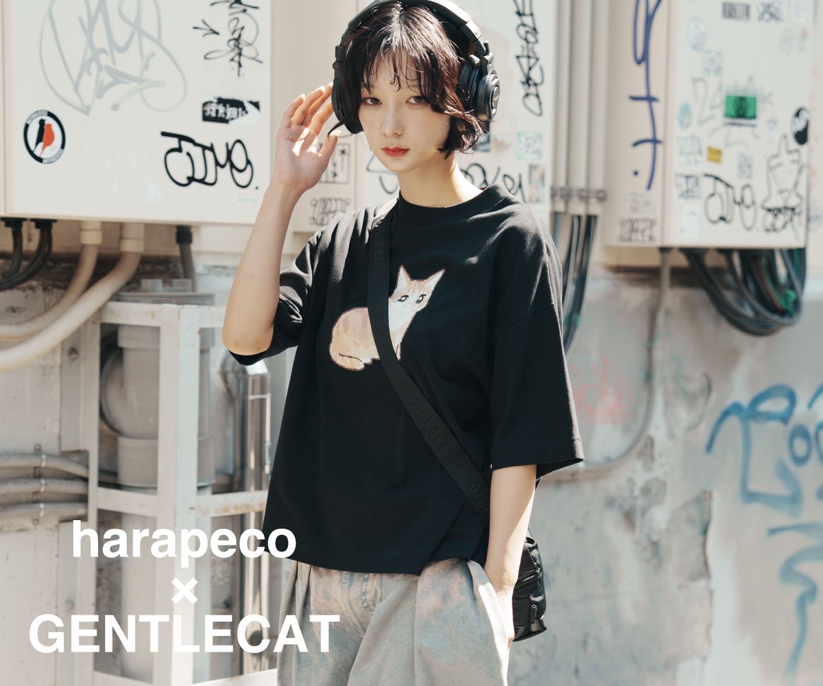 harapeco (@harapeco_store) / Posts / X