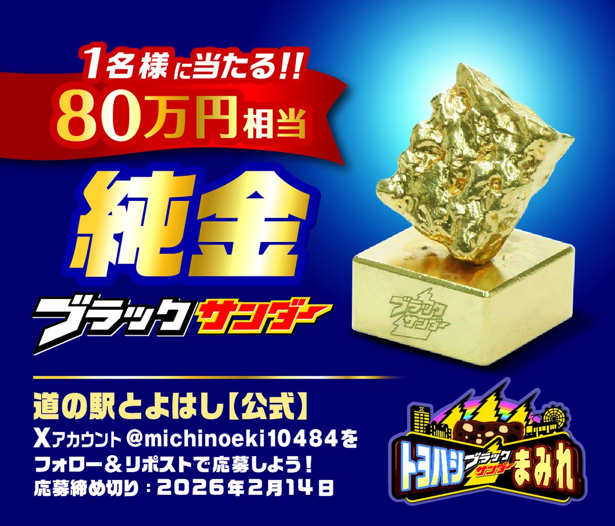 ぽこにゃん (@pokonyan573) / Posts / X