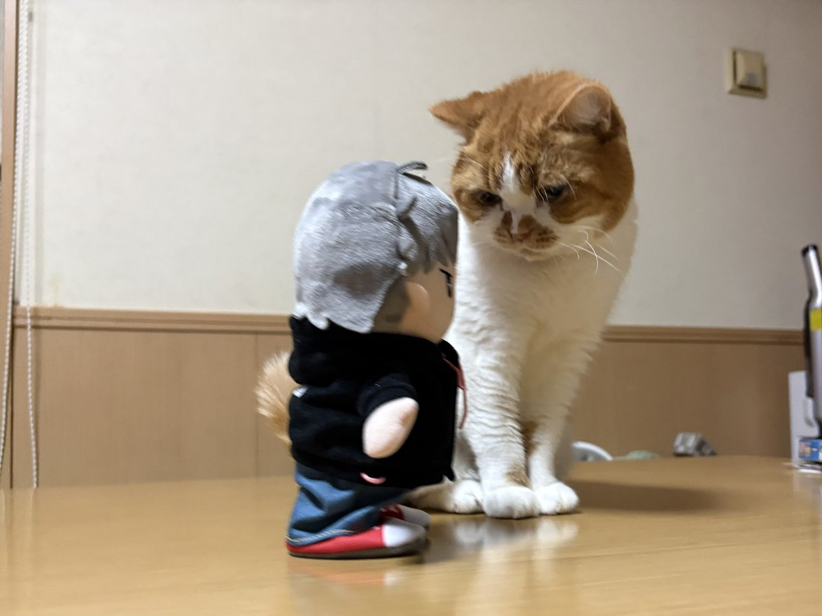 北山宏光オリジナルマスコット