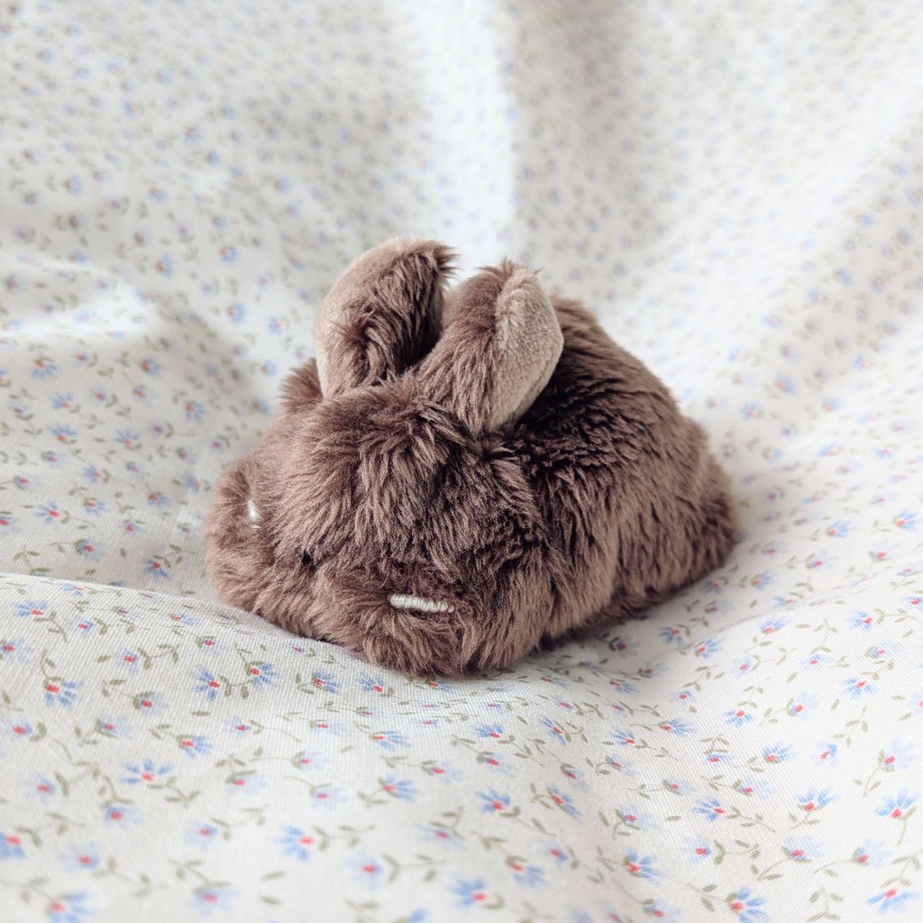 ぱむすけ🌰 (@mgmgpampam) / Posts / X