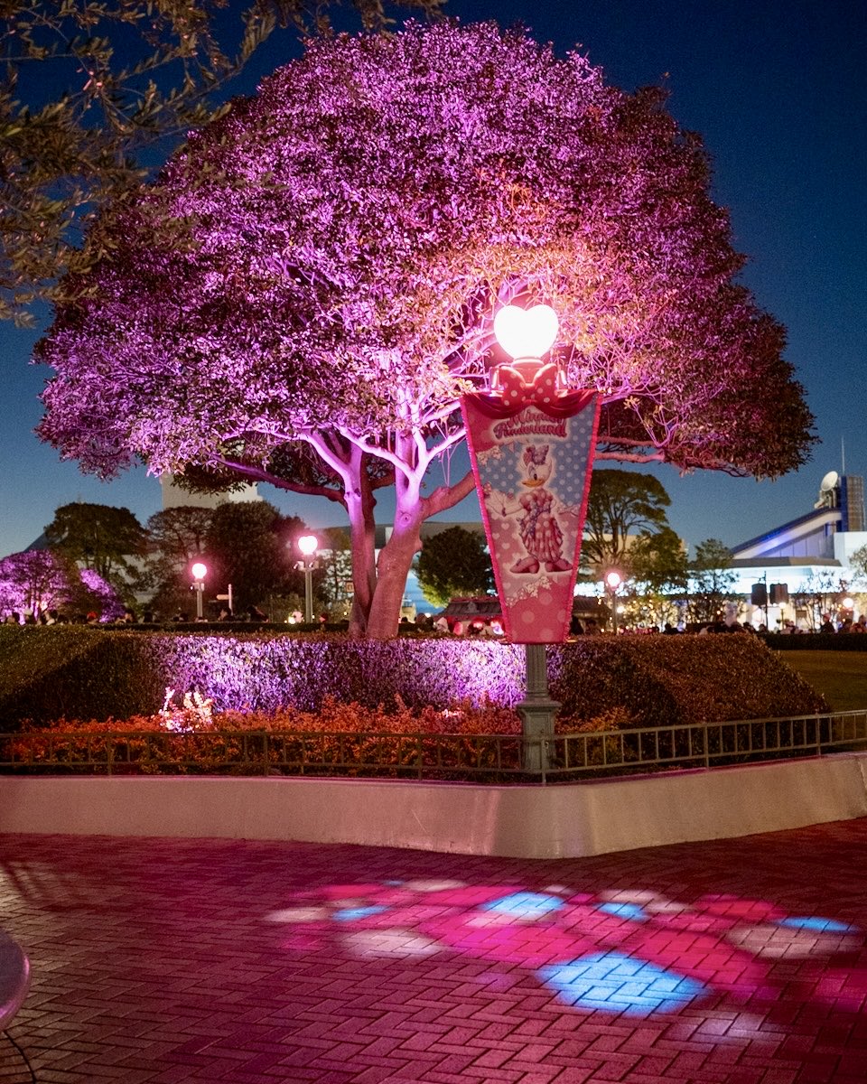 東京ディズニーランド 「ディズニー・パルパルーザ