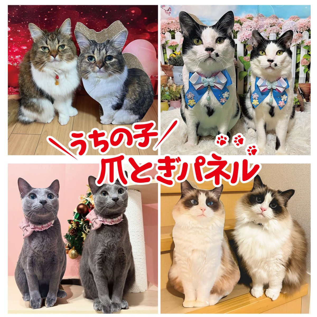 たんたん (@tantan_sing) / Posts / X