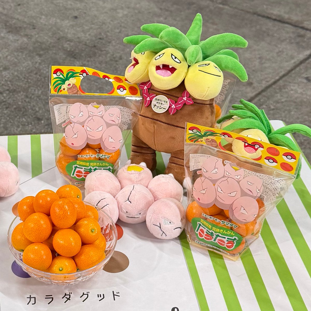 また今年も！ 完熟きんかん「たまたま」と『宮崎だいすきポケモン』の