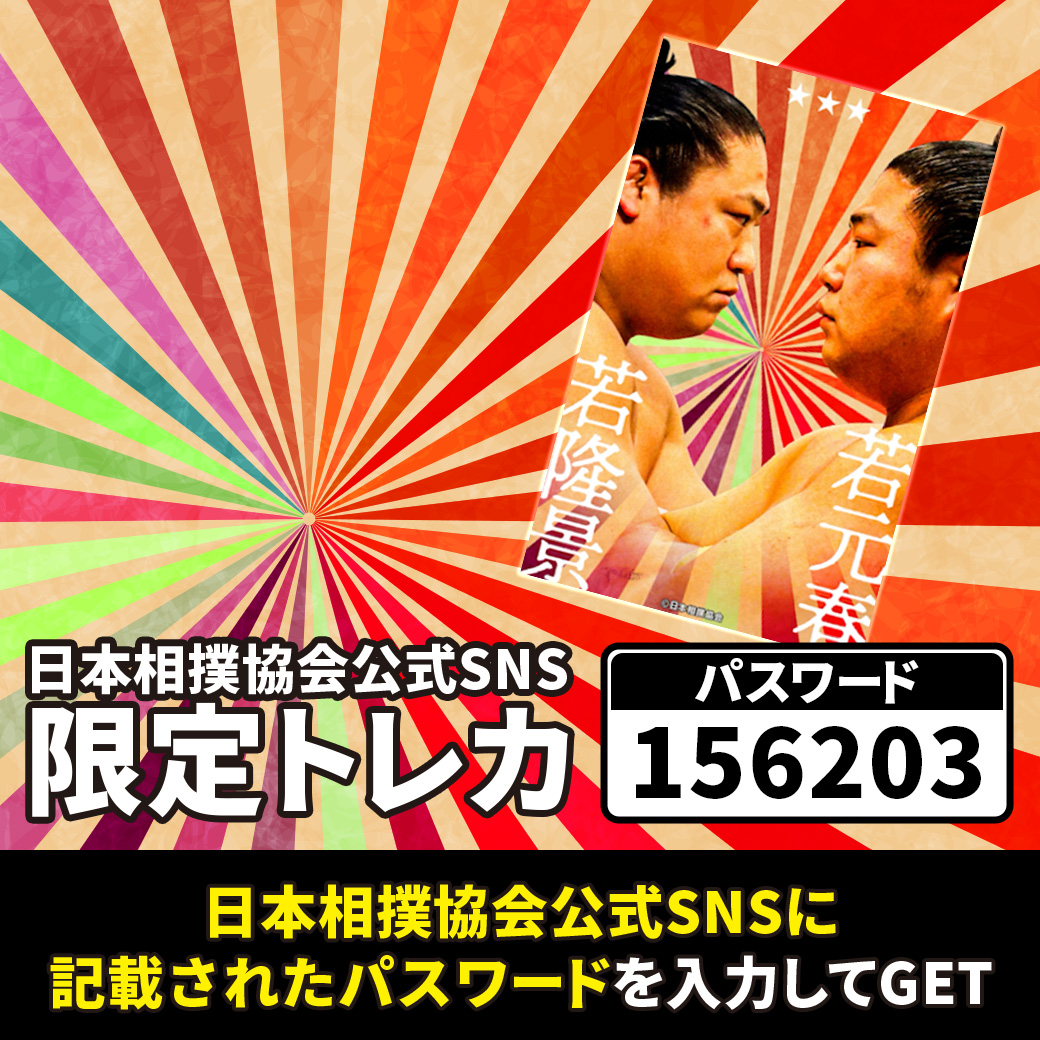 大相撲コレクション＞ 電子トレカサービス 大相撲コレクションにて