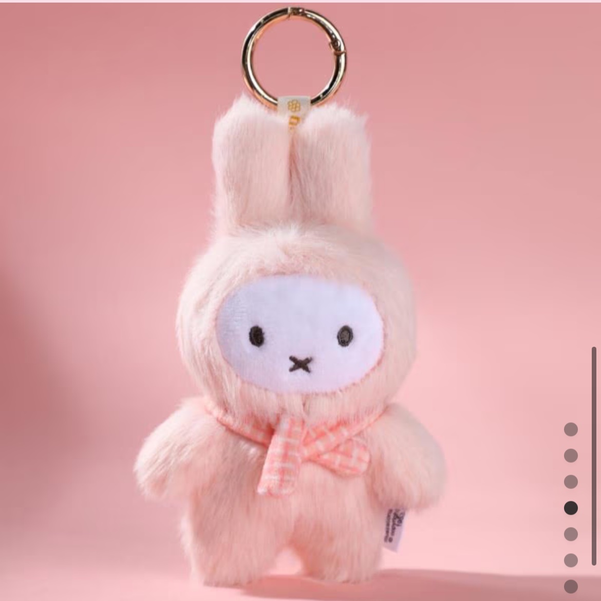 なあにこのミッフィー！！！台湾で見つけたかった可愛い！！！