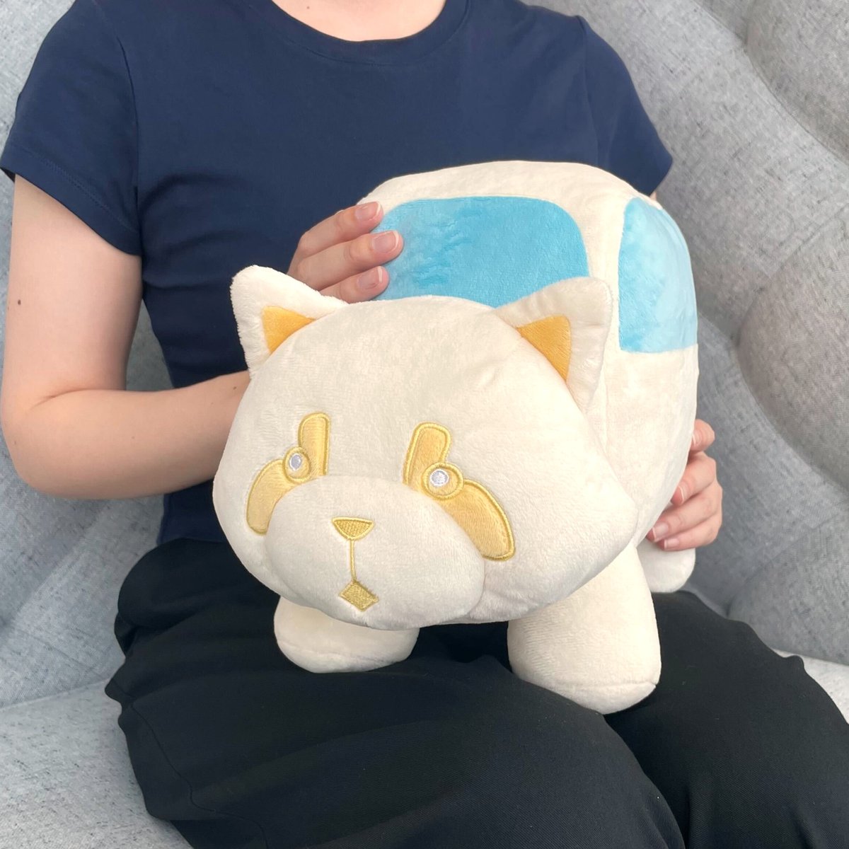 受注受付は、明日【9月8日正午】まで📢／ #本好きの下剋上 レッサー