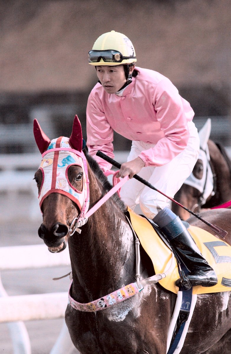 高知競馬のヒロイン #ハルウララ が9月9日、疝痛のため29歳で亡くなり