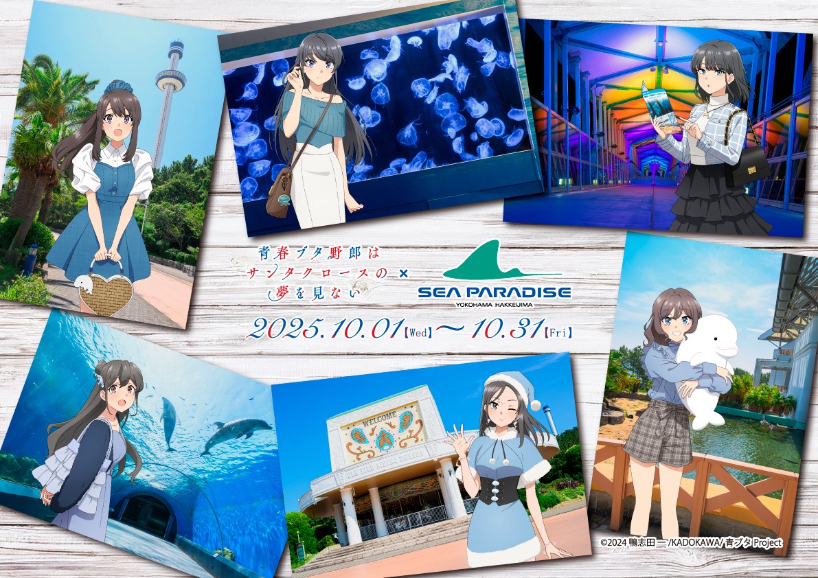 🐷青春ブタ野郎は サンタクロースの夢を見ない」× #シーパラ チケット