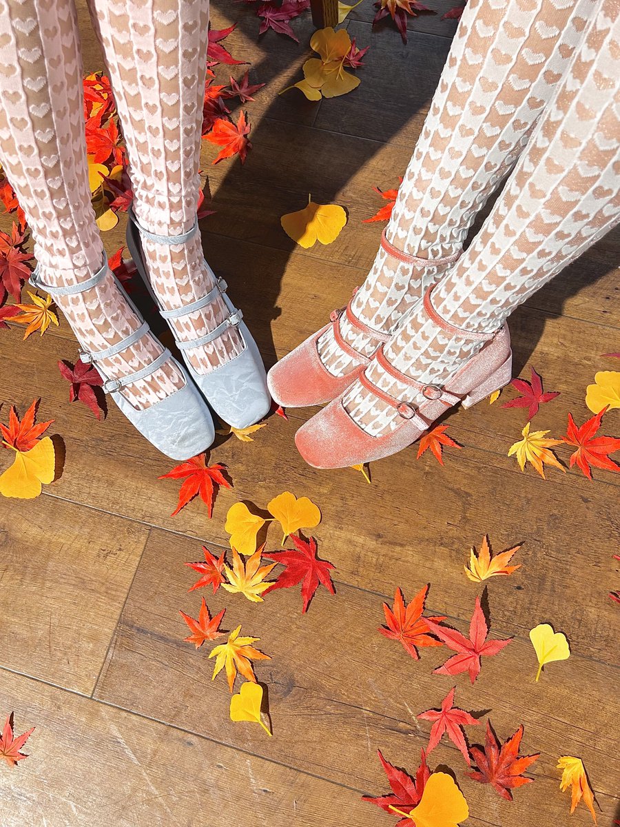 LOVE 19th カップリング曲 『 木漏れ日メゾフォルテ 』➰🍂♩ MV公開