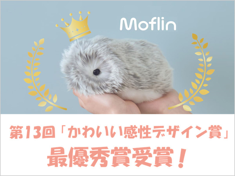 🎊Moflinが「かわいい感性デザイン賞」の最優秀賞受賞！🎊 表彰式と
