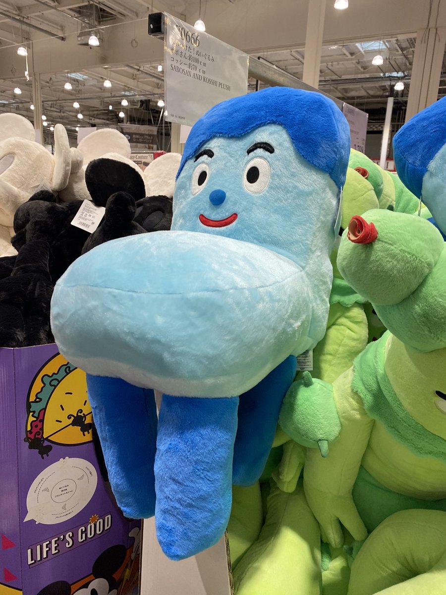 バカ安い‼️ サンアローで5年前にでたコッシーぬいぐるみLサイズ「35