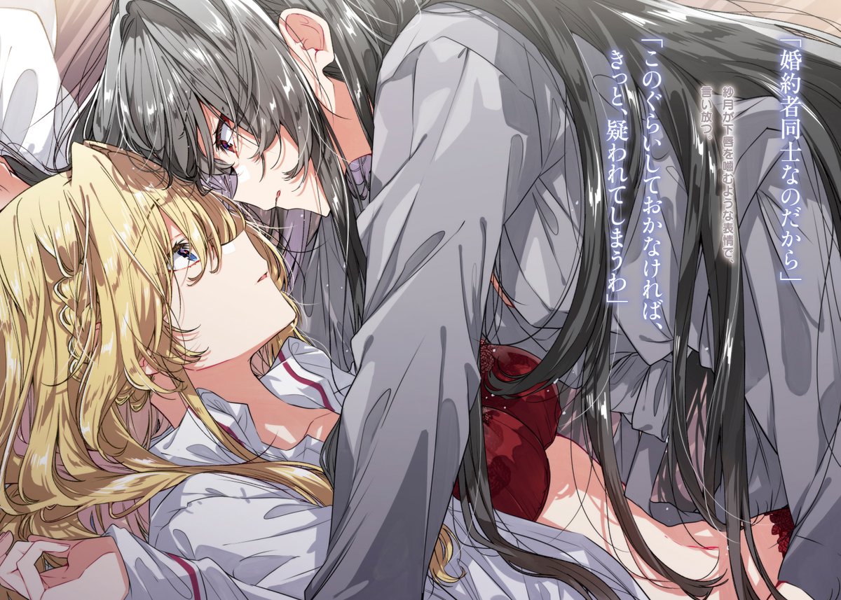 🐨------------------ わたなれ最新第8巻 いよいよ本日発売