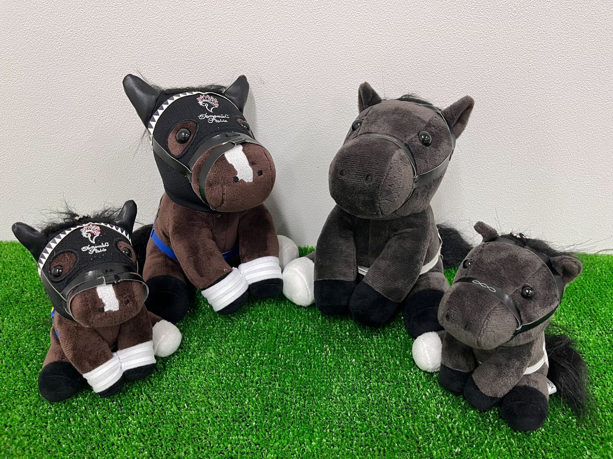 ✨アイドルホース 新商品✨ 2025年のオークス・日本ダービーを制した二