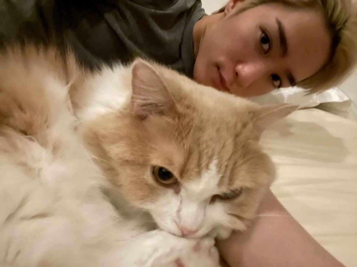 今年2月15日 大切な家族のマースが虹の橋を渡りました。 最後まで一緒