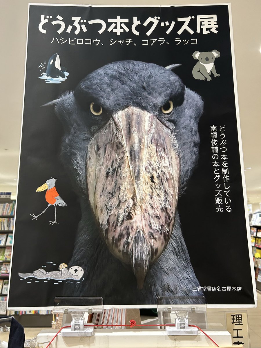 理工書コーナーにて、南幅俊輔さんのどうぶつ本とグッズ展を開催中