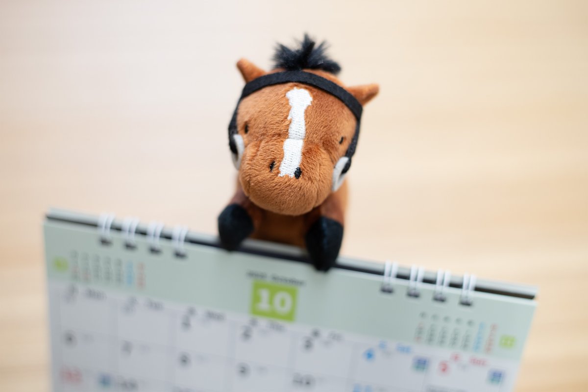 🏇プライズ新商品🏇 ／ #サラブレッドコレクション ちょこがけ